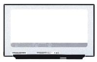 Матрица 17,3” B173HAN04.9 (eDP) M